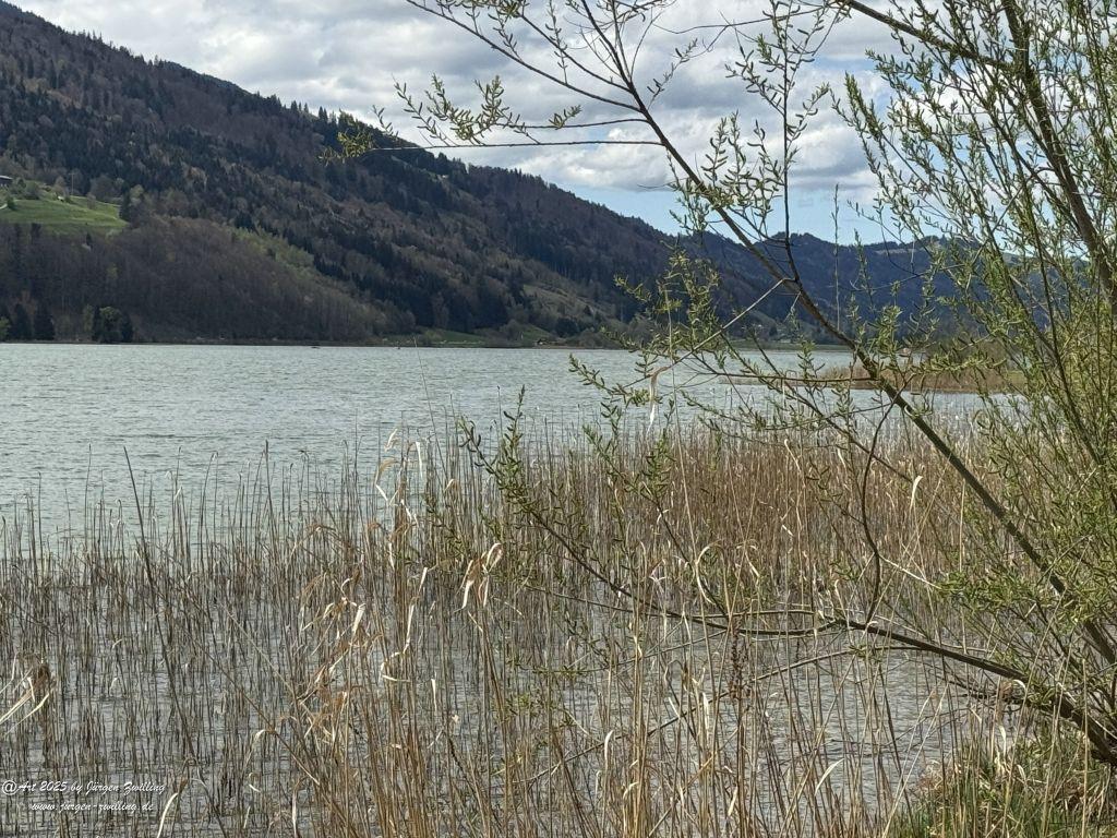 Alpsee - Allgäu