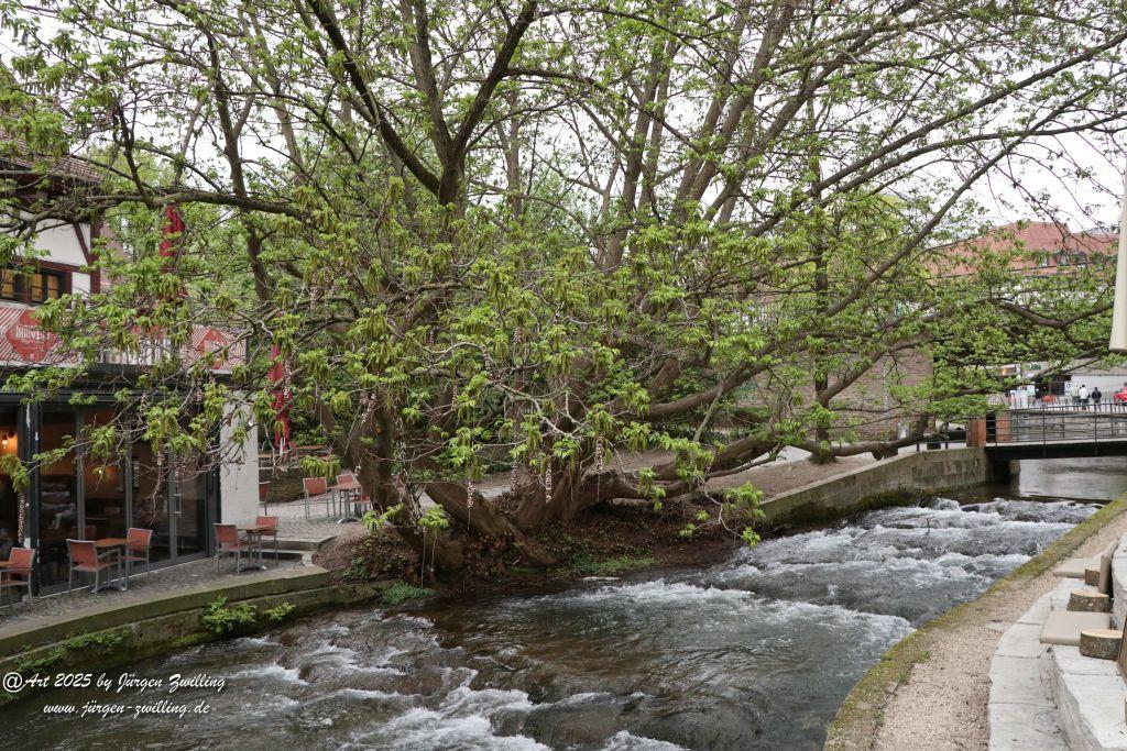 Ulm - Baden Württemberg