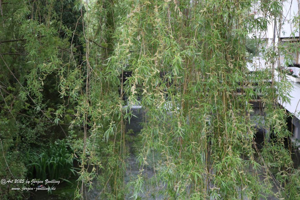 Ulm - Baden Württemberg