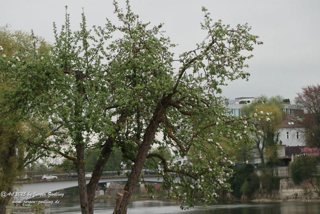 Ulm - Baden Württemberg