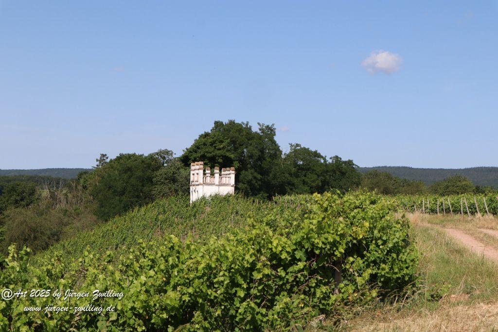 Rheinhessen im Juni 2025 - Mandel