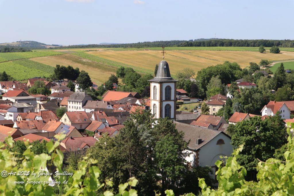 Rheinhessen im Juni 2025 - Mandel