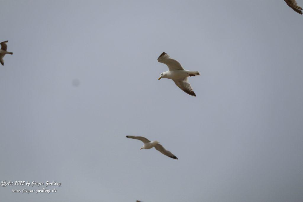 Scheveningen - Den Haag - Niederlande