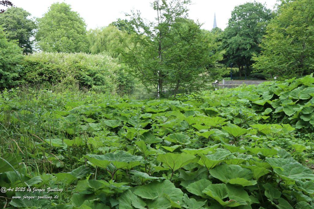 Den Haag - Niederlande