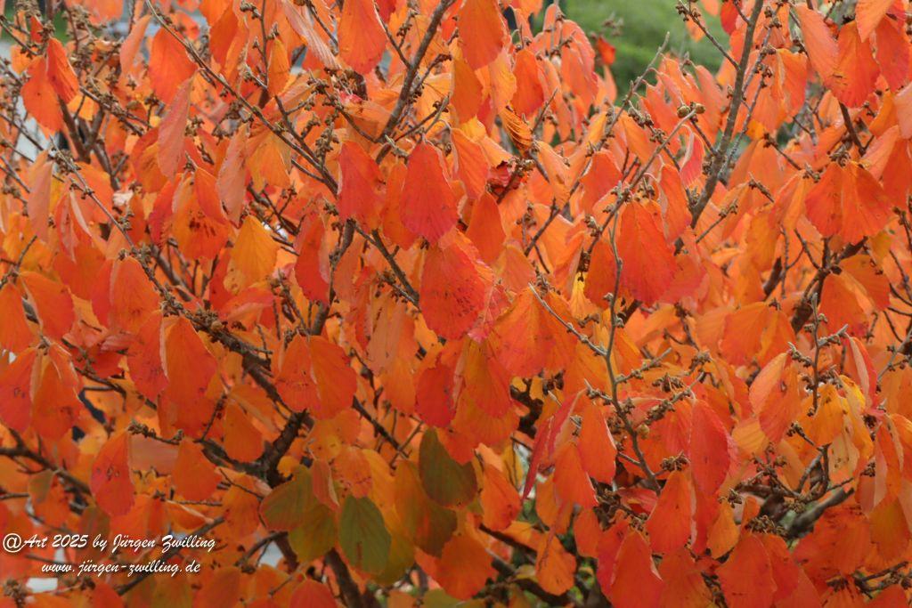 Philosophische Bildwanderung Lago Bostalsee - Nohfelden-Bosen - Saarland
