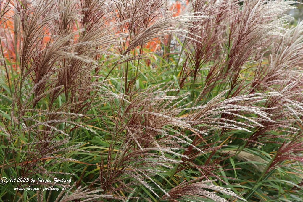 Philosophische Bildwanderung Lago Bostalsee - Nohfelden-Bosen - Saarland