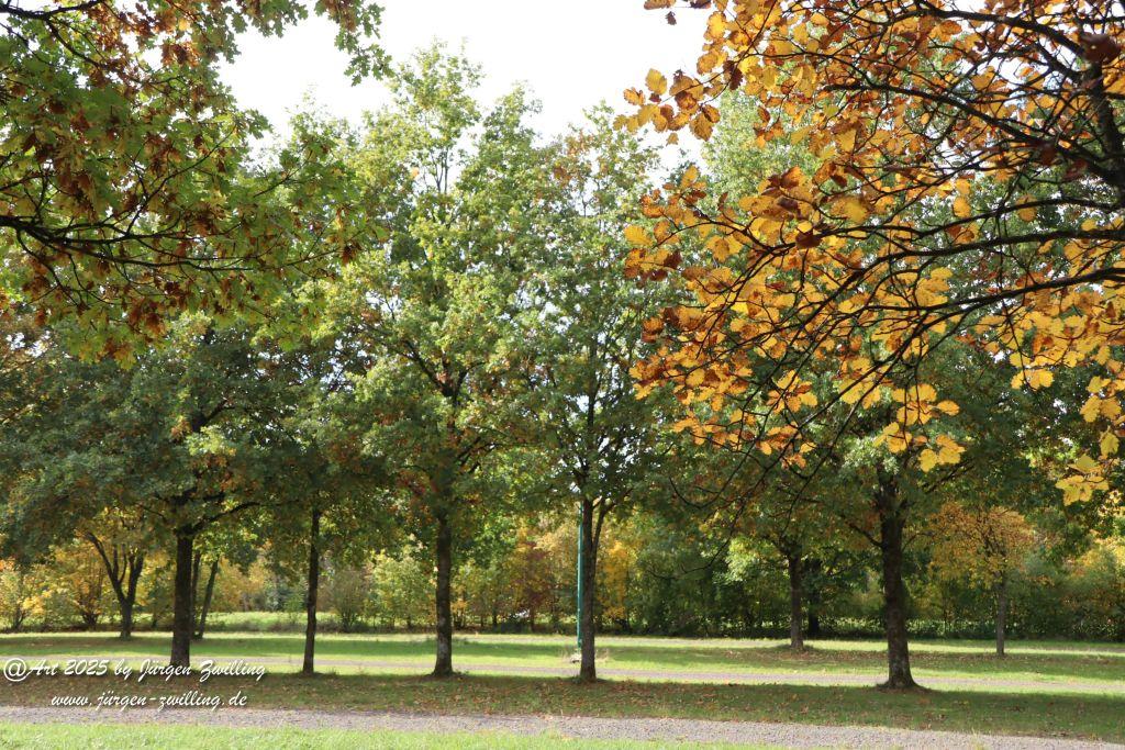 Philosophische Bildwanderung Lago Bostalsee - Nohfelden-Bosen - Saarland