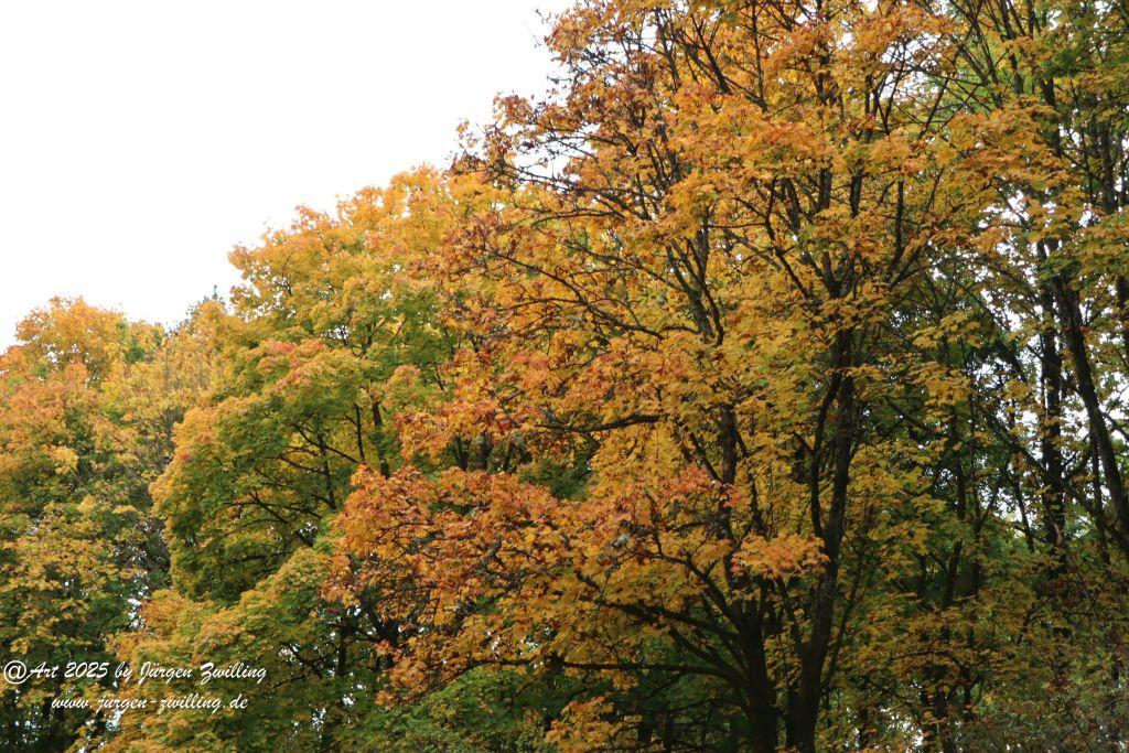 Philosophische Bildwanderung Lago Bostalsee - Nohfelden-Bosen - Saarland
