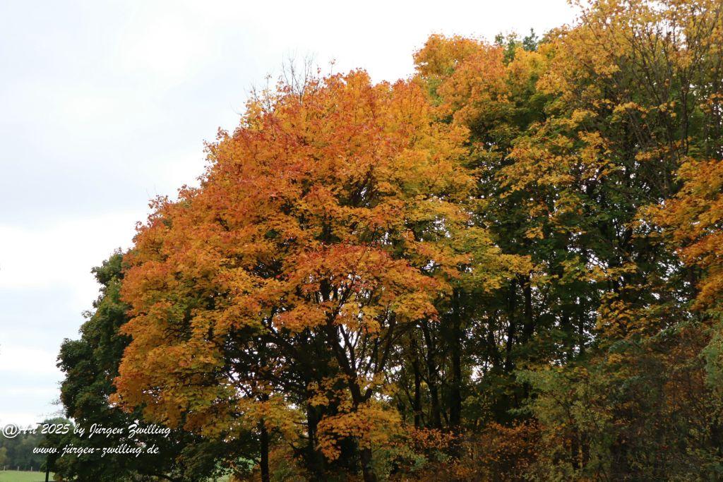 Philosophische Bildwanderung Lago Bostalsee - Nohfelden-Bosen - Saarland