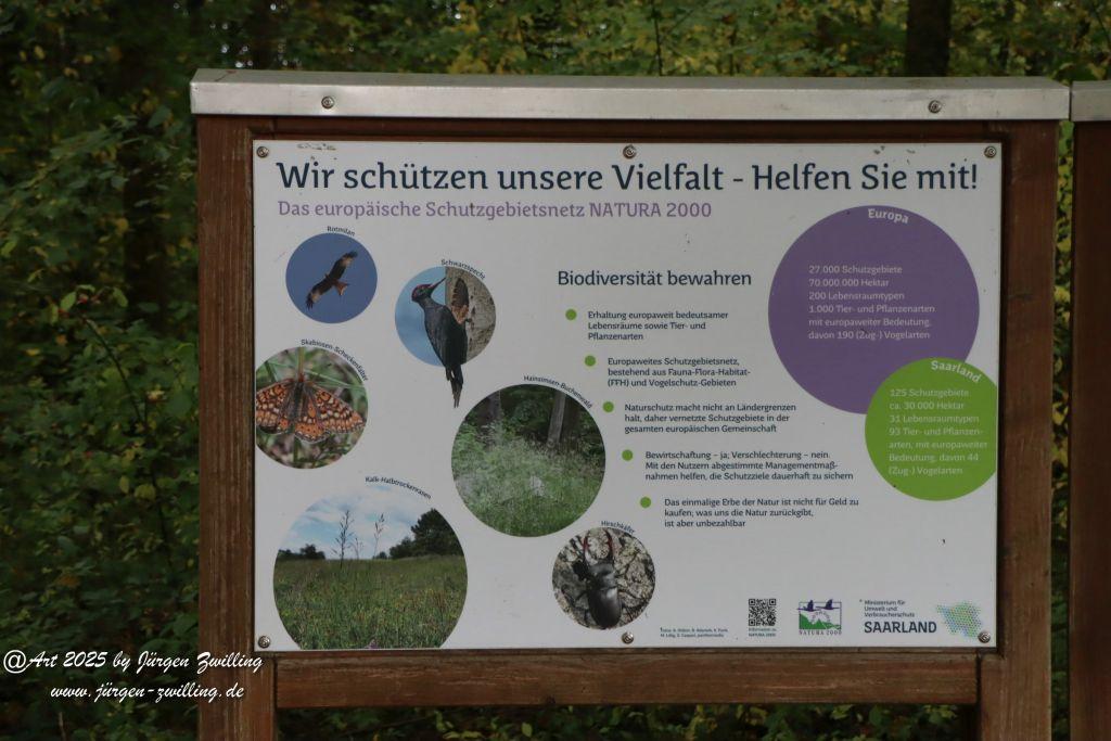 Philosophische Bildwanderung Lago Bostalsee - Nohfelden-Bosen - Saarland