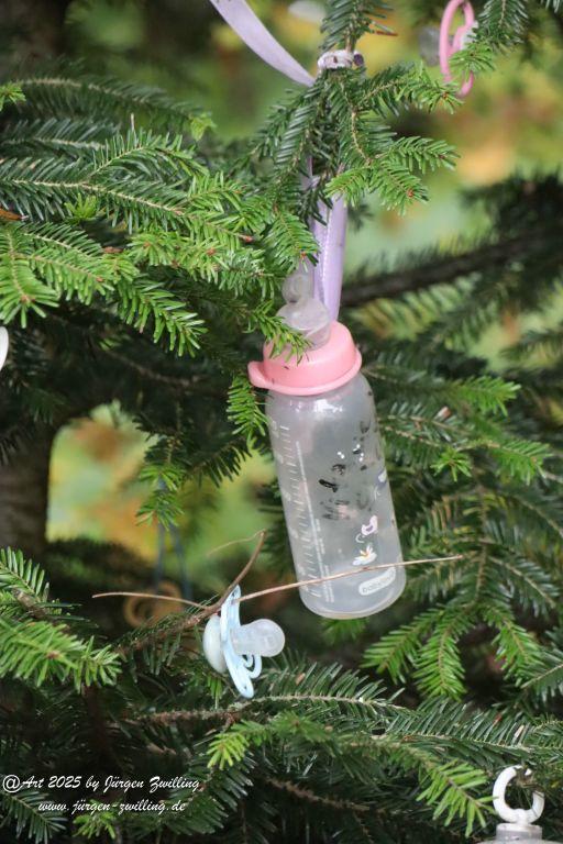 Philosophische Bildwanderung Lago Bostalsee - Nohfelden-Bosen - Saarland