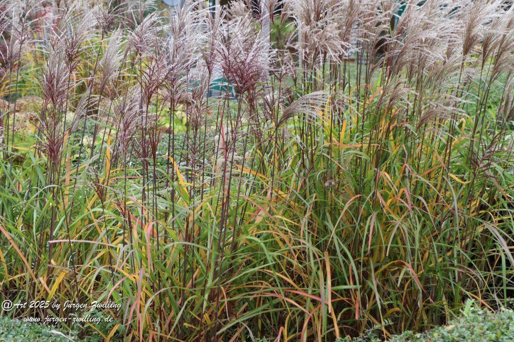 Philosophische Bildwanderung Lago Bostalsee - Nohfelden-Bosen - Saarland