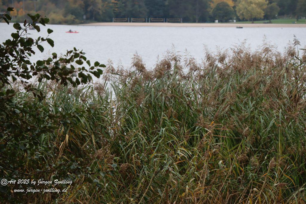Philosophische Bildwanderung Lago Bostalsee - Nohfelden-Bosen - Saarland