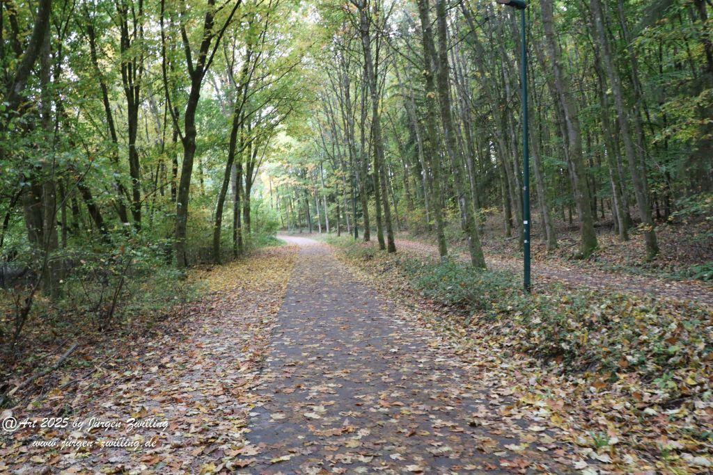 Philosophische Bildwanderung Lago Bostalsee - Nohfelden-Bosen - Saarland