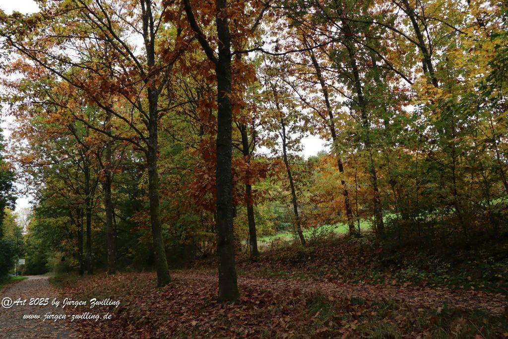 Philosophische Bildwanderung Lago Bostalsee - Nohfelden-Bosen - Saarland
