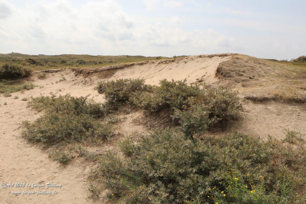 Nationalpark Zuid - Kennemerland -Zandvoort - Niederland