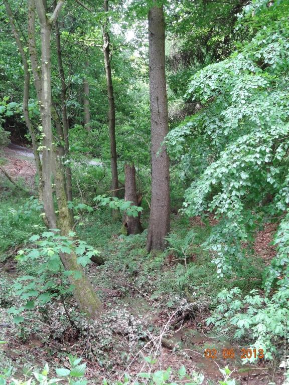 Philosophische Bildwanderung Höhenweg Grund - Spessart