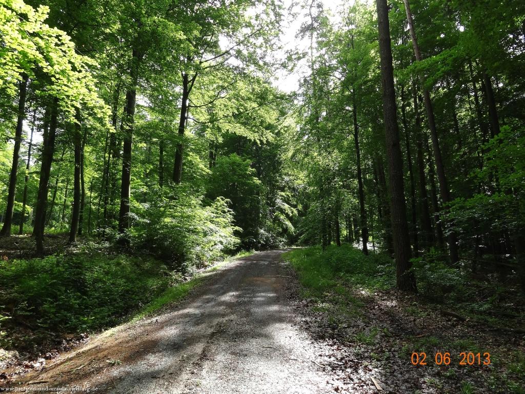 Philosophische Bildwanderung Höhenweg Grund - Spessart