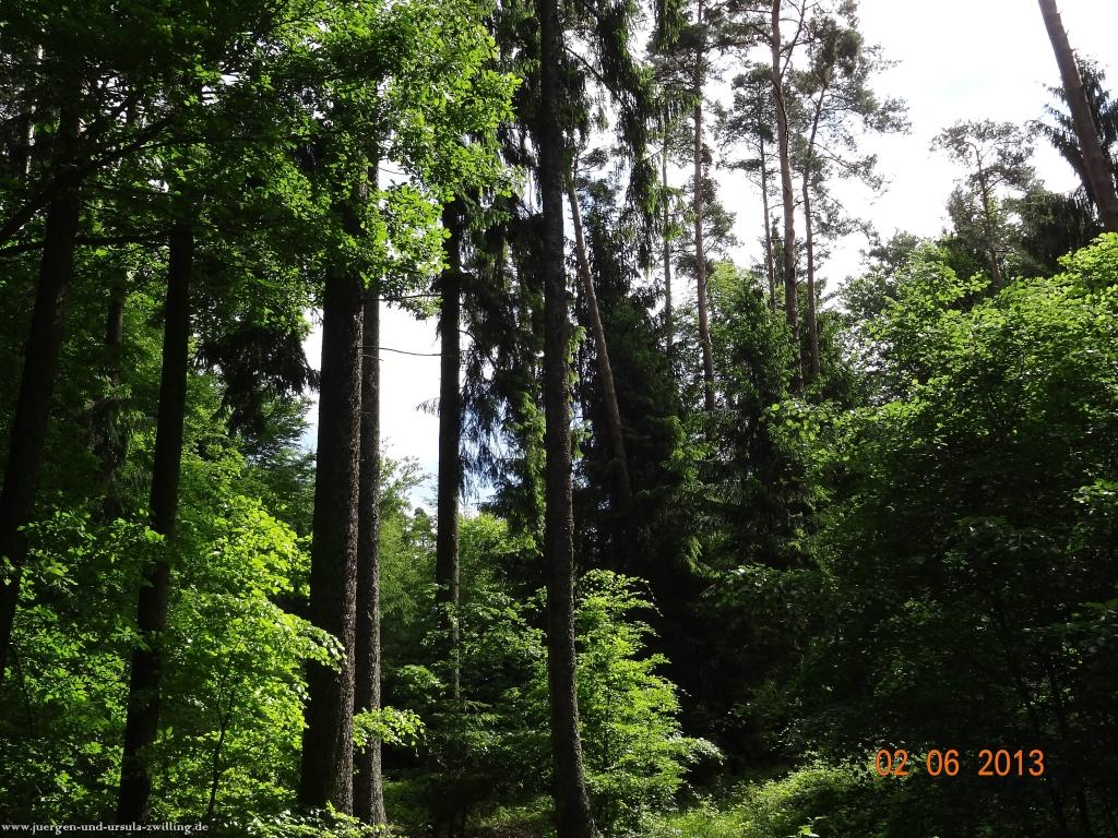 Philosophische Bildwanderung Höhenweg Grund - Spessart