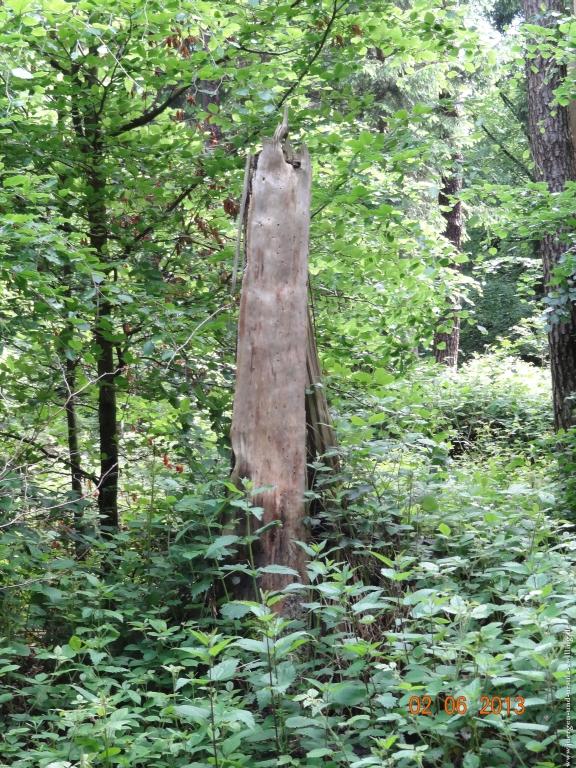 Philosophische Bildwanderung Höhenweg Grund - Spessart