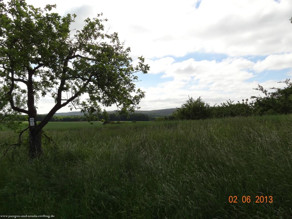 Philosophische Bildwanderung Höhenweg Grund - Spessart
