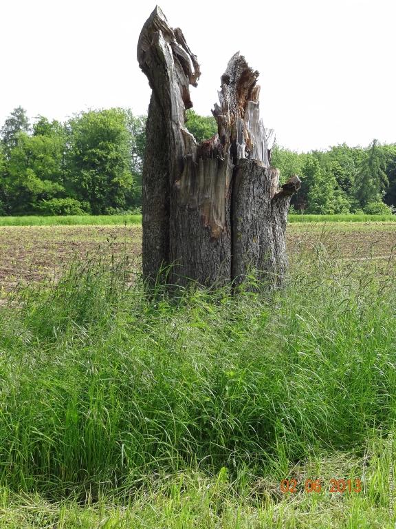 Philosophische Bildwanderung Höhenweg Grund - Spessart