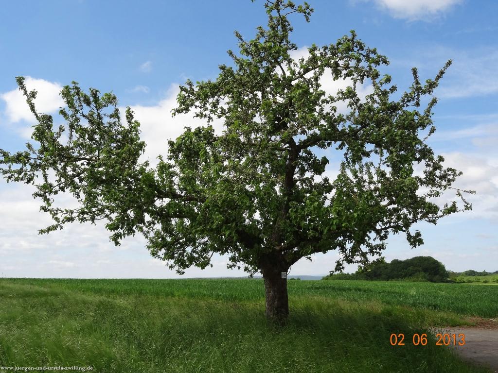 Philosophische Bildwanderung Höhenweg Grund - Spessart