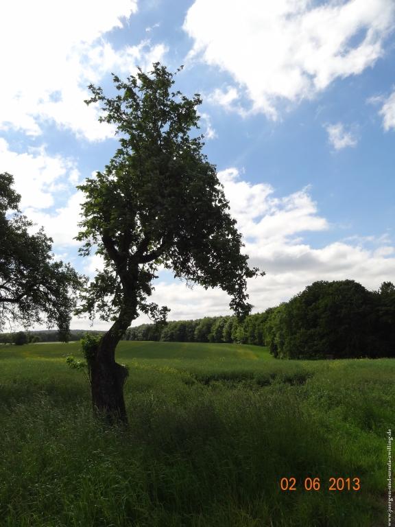Philosophische Bildwanderung Höhenweg Grund - Spessart