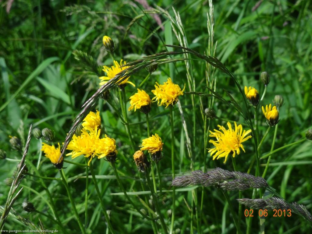 Philosophische Bildwanderung Höhenweg Grund - Spessart