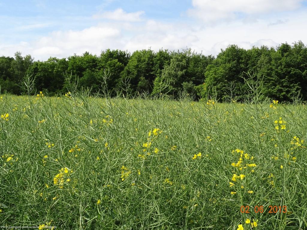 Philosophische Bildwanderung Höhenweg Grund - Spessart