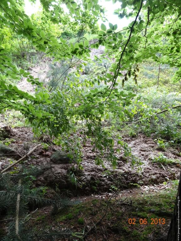 Philosophische Bildwanderung Höhenweg Grund - Spessart