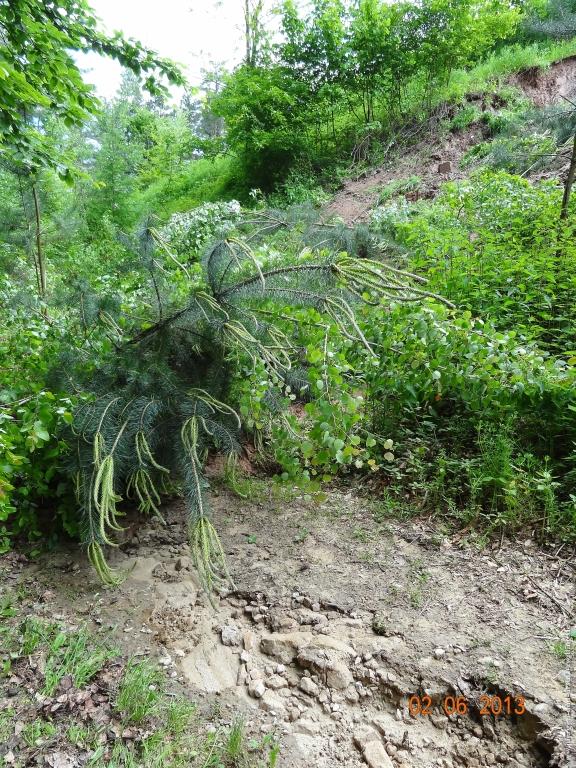 Philosophische Bildwanderung Höhenweg Grund - Spessart