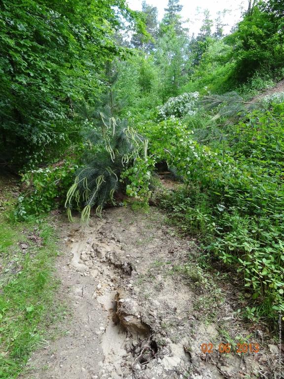 Philosophische Bildwanderung Höhenweg Grund - Spessart