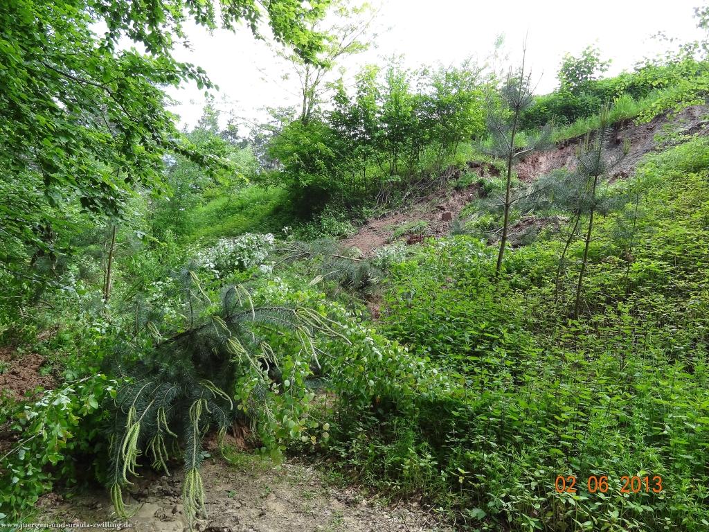 Philosophische Bildwanderung Höhenweg Grund - Spessart