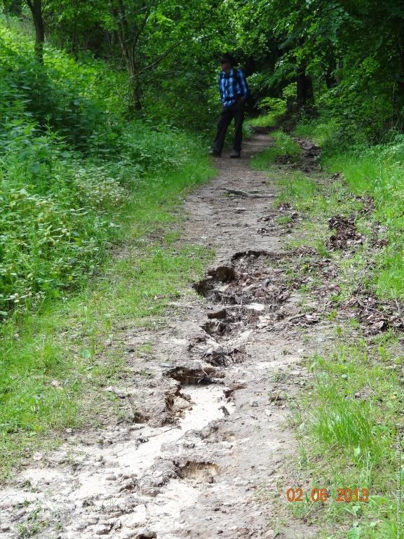 Philosophische Bildwanderung Höhenweg Grund - Spessart