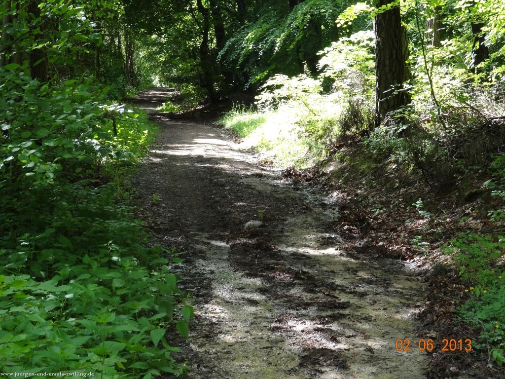 Philosophische Bildwanderung Höhenweg Grund - Spessart