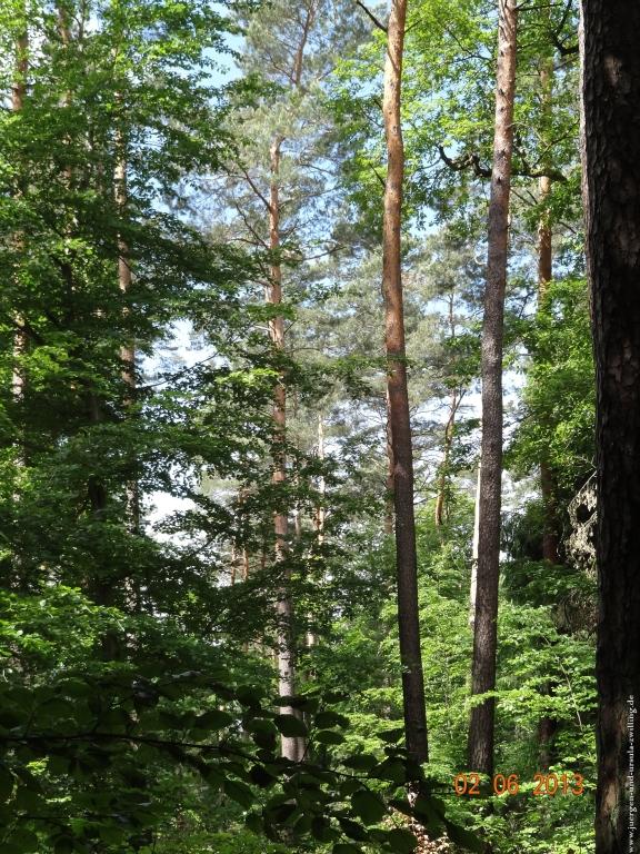 Philosophische Bildwanderung Höhenweg Grund - Spessart