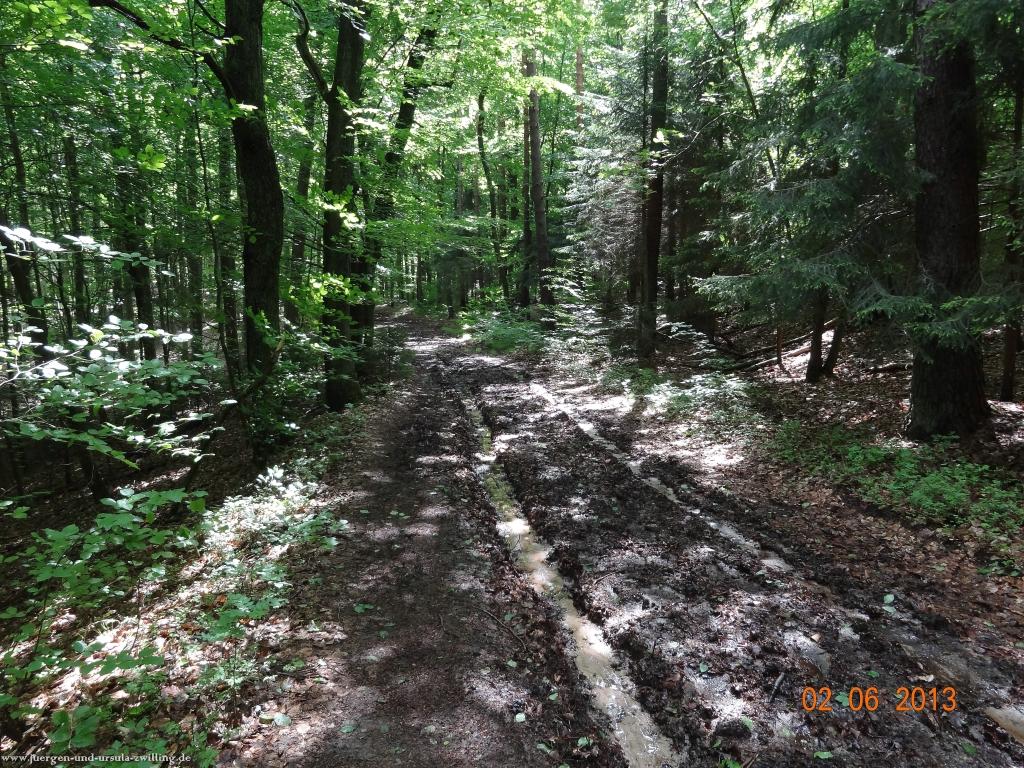 Philosophische Bildwanderung Höhenweg Grund - Spessart