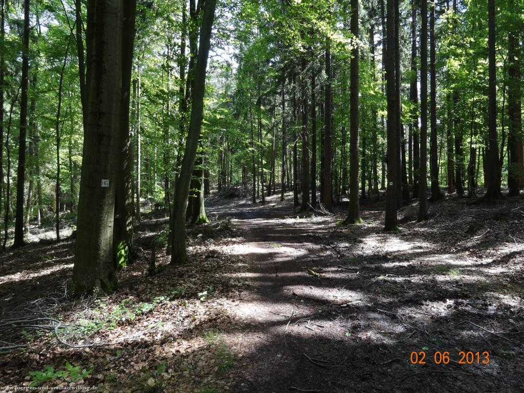 Philosophische Bildwanderung Höhenweg Grund - Spessart