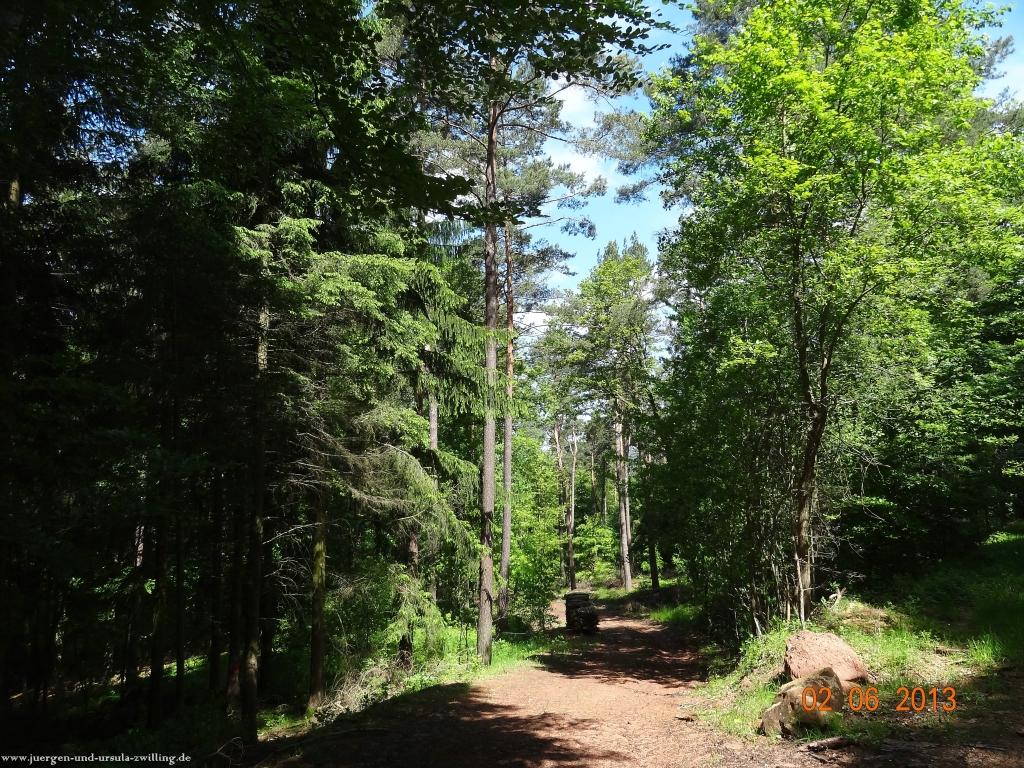 Philosophische Bildwanderung Höhenweg Grund - Spessart