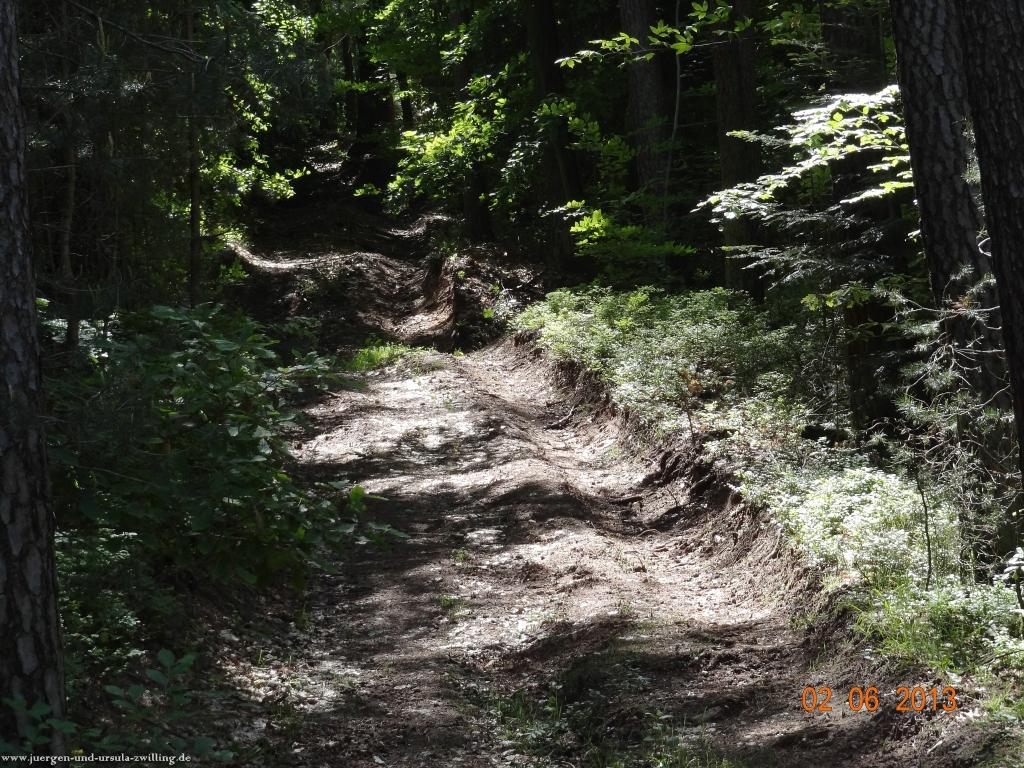 Philosophische Bildwanderung Höhenweg Grund - Spessart