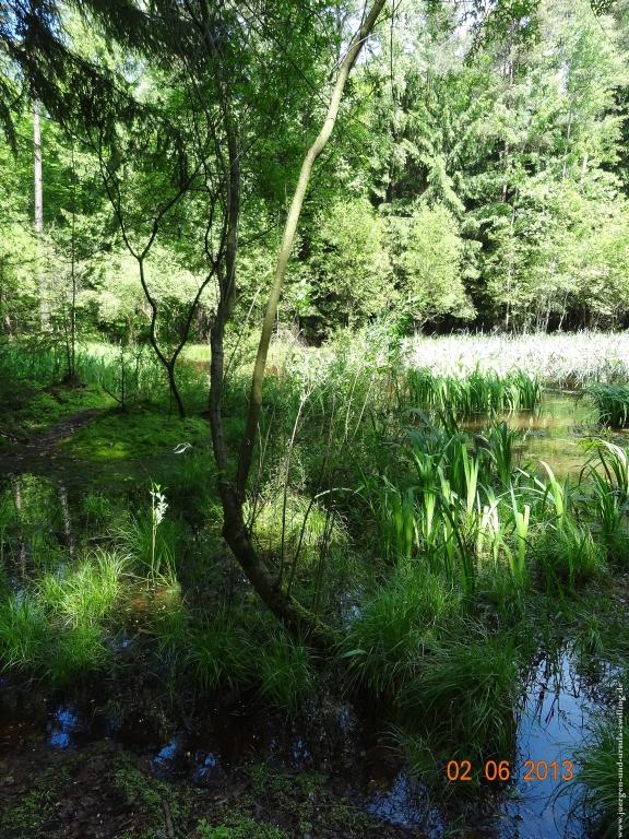 Philosophische Bildwanderung Höhenweg Grund - Spessart