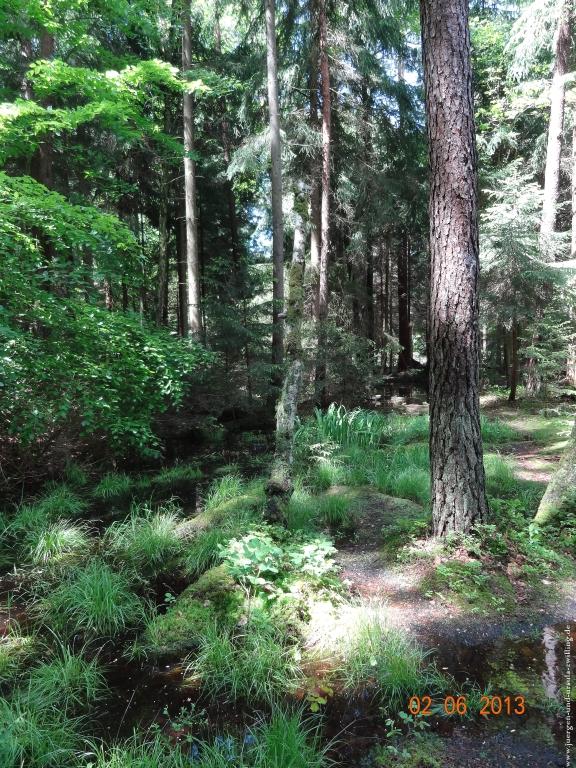 Philosophische Bildwanderung Höhenweg Grund - Spessart