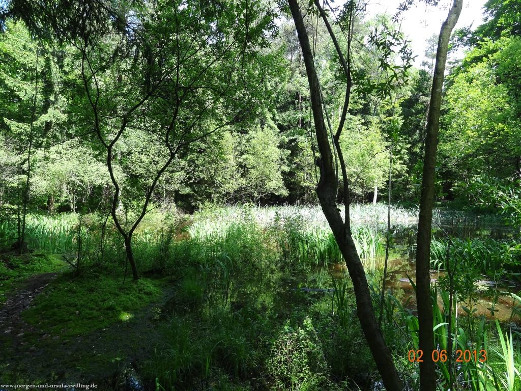 Philosophische Bildwanderung Höhenweg Grund - Spessart