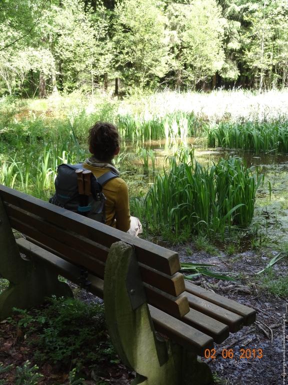 Philosophische Bildwanderung Höhenweg Grund - Spessart