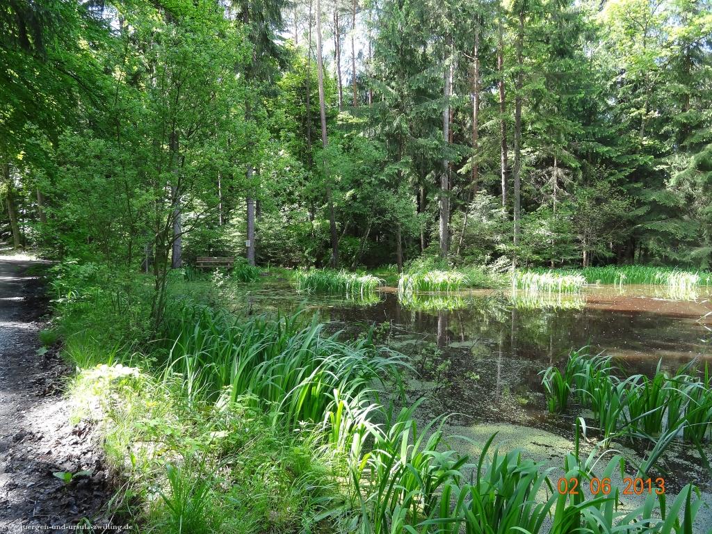 Philosophische Bildwanderung Höhenweg Grund - Spessart