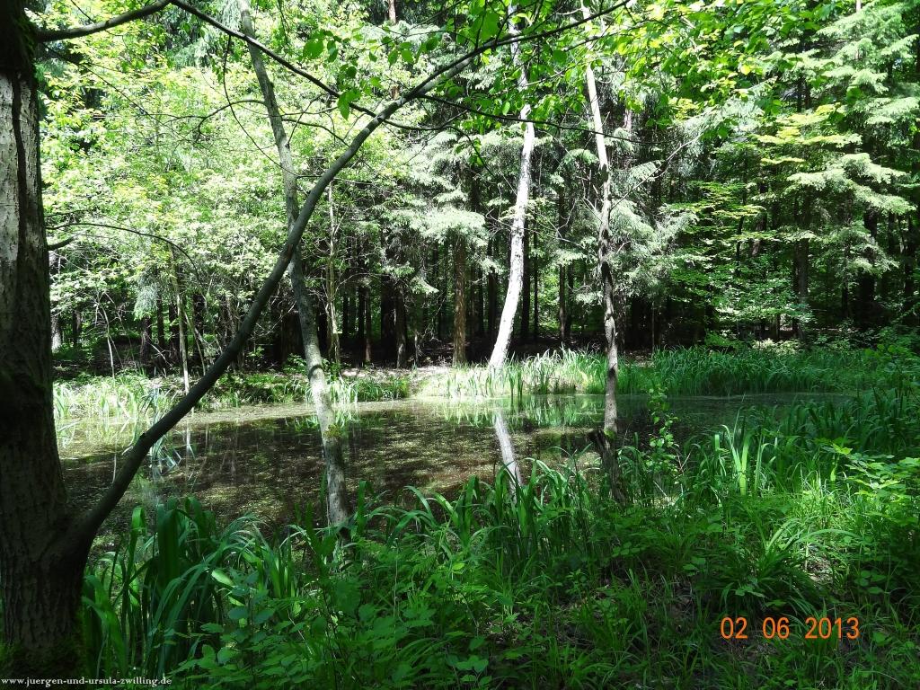 Philosophische Bildwanderung Höhenweg Grund - Spessart