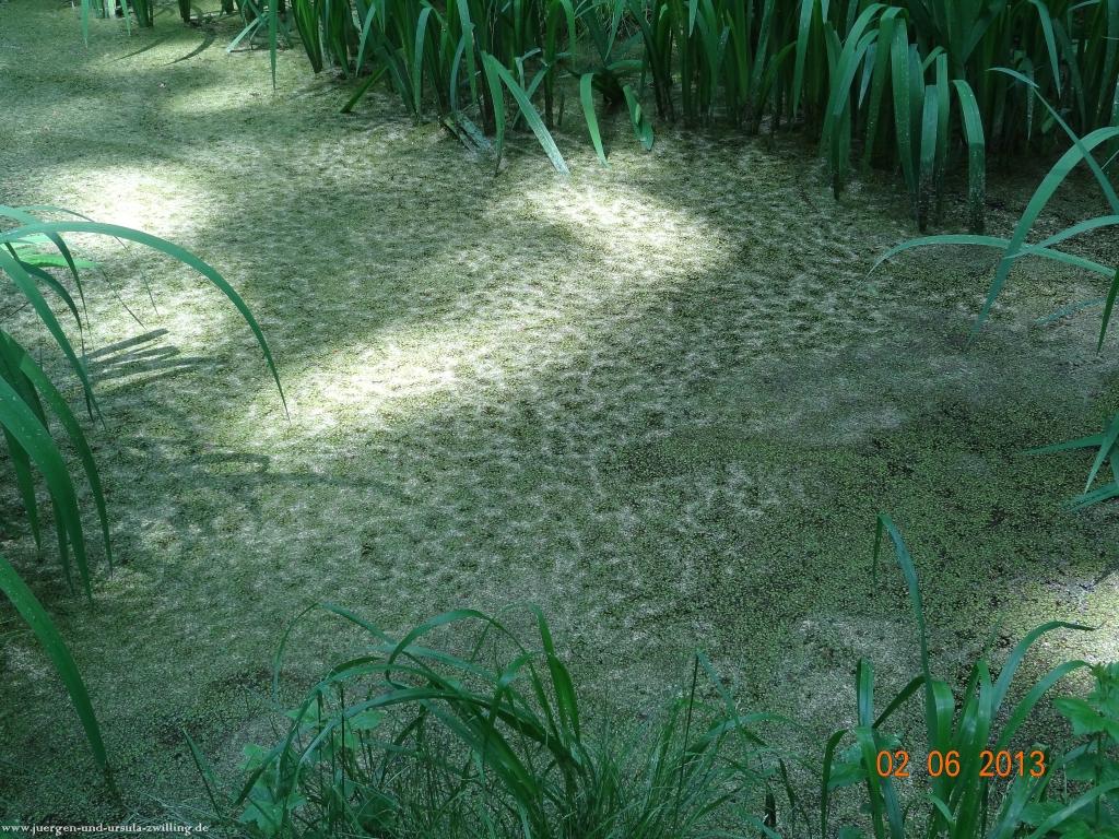 Philosophische Bildwanderung Höhenweg Grund - Spessart