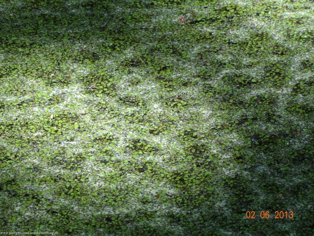 Philosophische Bildwanderung Höhenweg Grund - Spessart