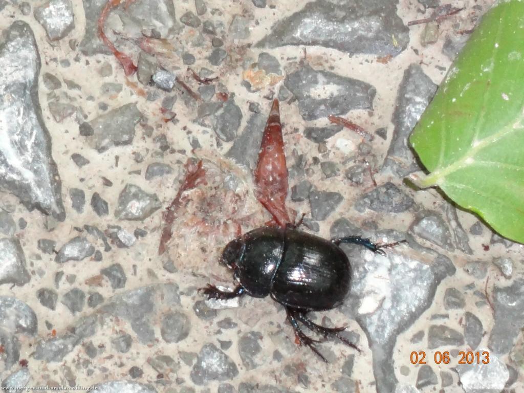 Philosophische Bildwanderung Höhenweg Grund - Spessart